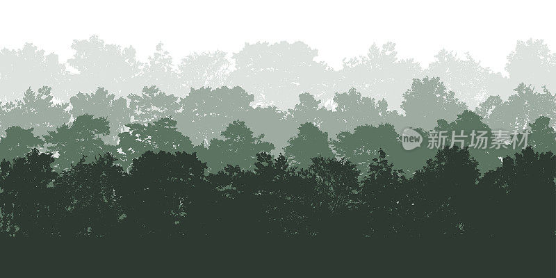 落叶林为背景，自然风光优美。不同树木的剪影。矢量图