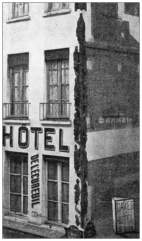 古董照片:酒店，杰西的树