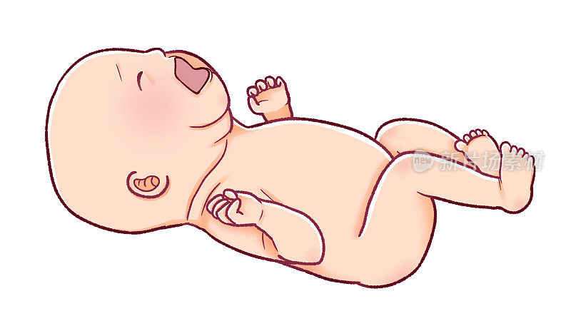 新生儿啼哭的插图