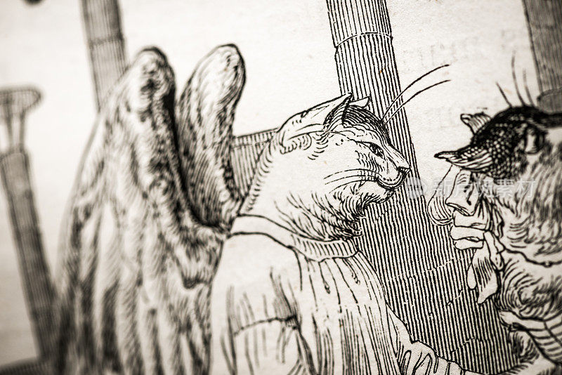 人性化的动物插图:天使和魔鬼猫