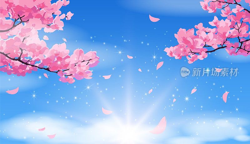 粉红色的樱花花瓣落在明亮的蓝天白云上。
