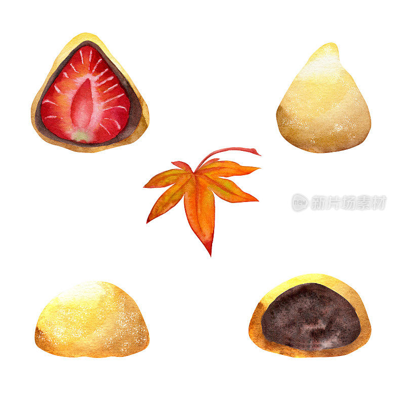 手绘水彩画的日本传统糖果。秋天的和木、麻糬、大福、桃片叶。孤立在白色背景上。设计邀请，餐厅菜单，贺卡，印刷，纺织品