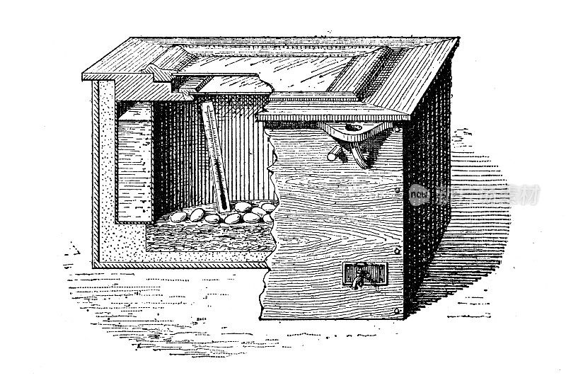 古董插图:孵卵器