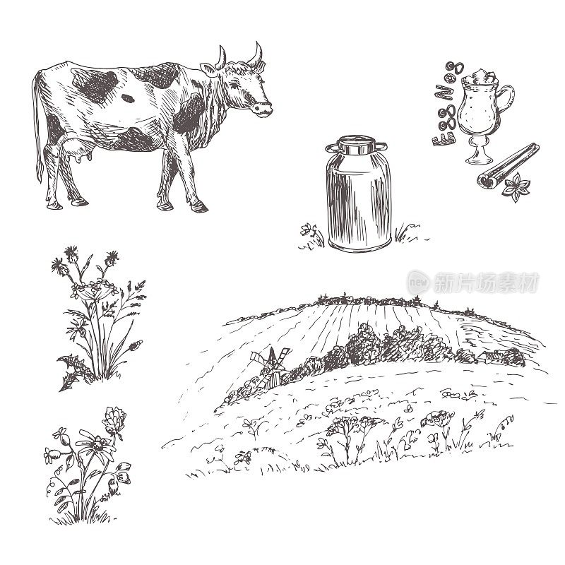 斑驳的牛。牛奶的农场。农村景观。矢量插图。生态环保生产，农业、畜牧业。