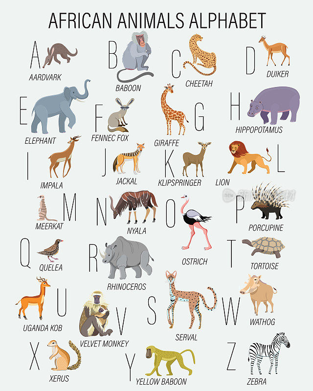 所有的非洲动物都用字母表。斑马，黄狒狒，薛鲁斯，疣猪，天鹅绒猴，乌龟，豪猪，鸵鸟，尼亚拉，猫鼬，克里普斯普林格，豺，狒狒，土豚，小羚羊，黑斑羚，薮猫