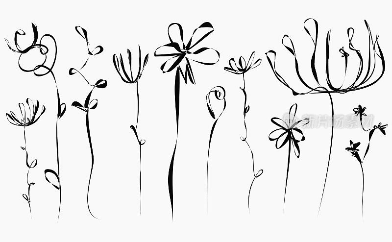 矢量打印墙艺术手工连续线艺术素描集植物和花卉素描符号收集孤立的白色背景