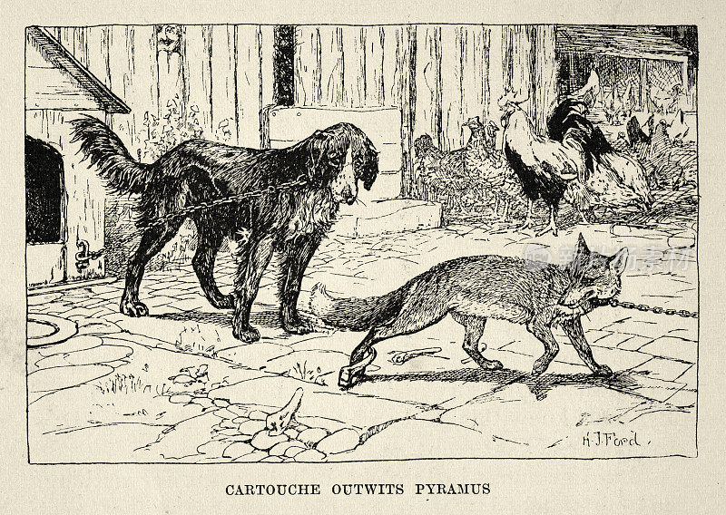 狡猾的狐狸战胜了狗，19世纪维多利亚动物故事