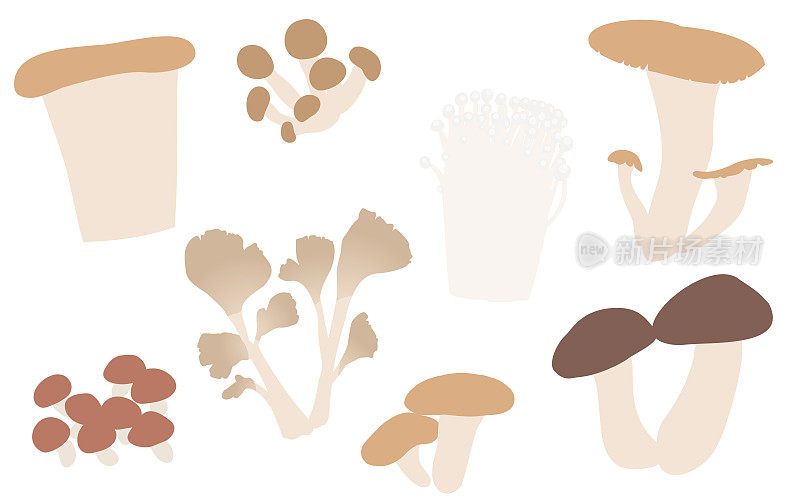 秋天的味道，简单插画的蘑菇:松茸、舞茸、香菇等套装