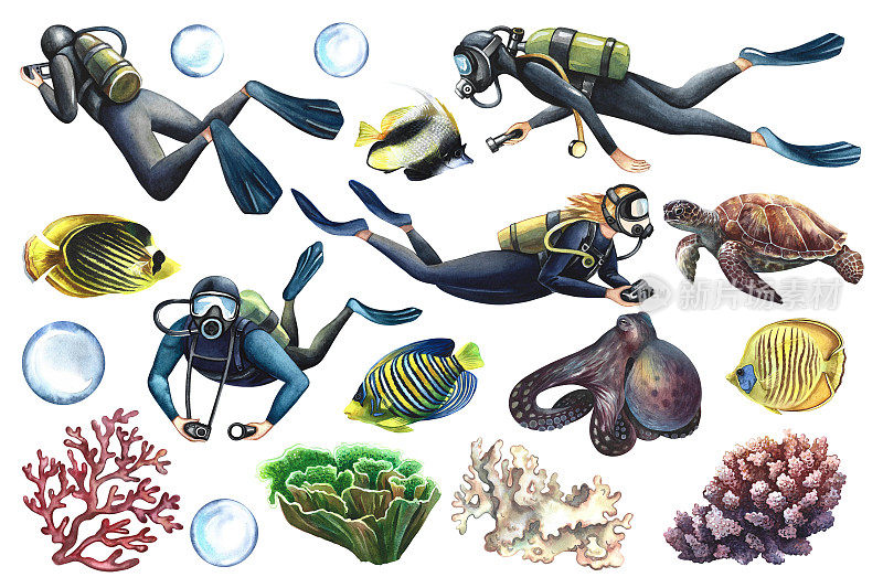 潜水。设置潜水员，海洋鱼类和动物，珊瑚。水下旅行。手绘水彩画。