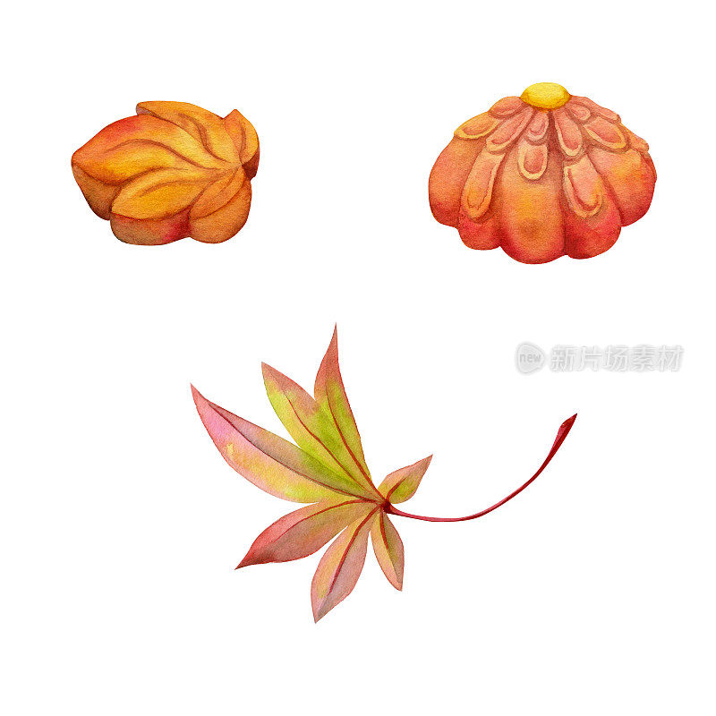 手绘水彩画的日本传统糖果。秋天的和木、麻糬、大福、桃片叶。孤立在白色背景上。设计邀请，餐厅菜单，贺卡，印刷，纺织品