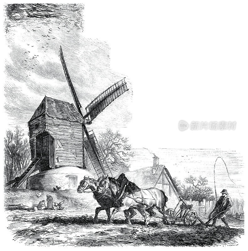 农夫在风车前犁地，荷兰插图，1857年