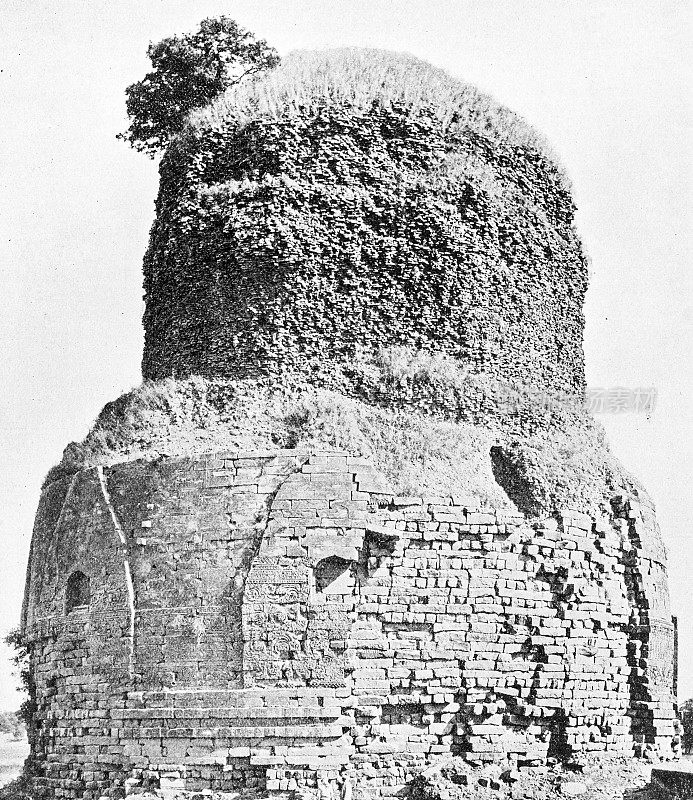 1895年印度的人物和地标:古佛教塔，Sarnath，贝拿勒斯