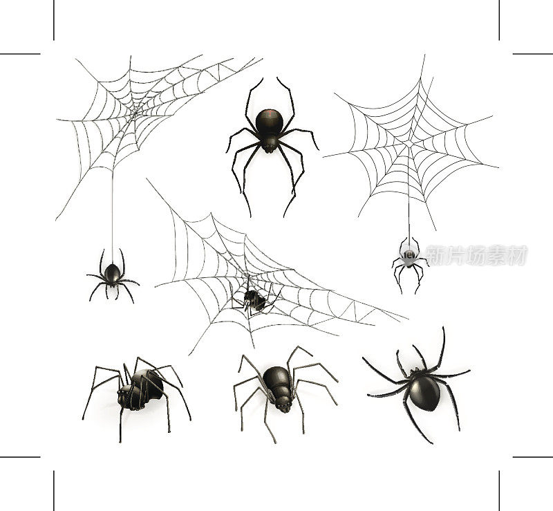 蜘蛛和蜘蛛网，矢量集