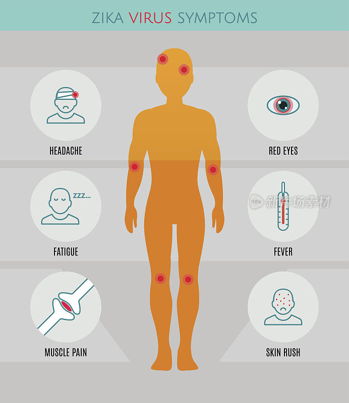 寨卡病毒信息图表:信息、预防、症状、