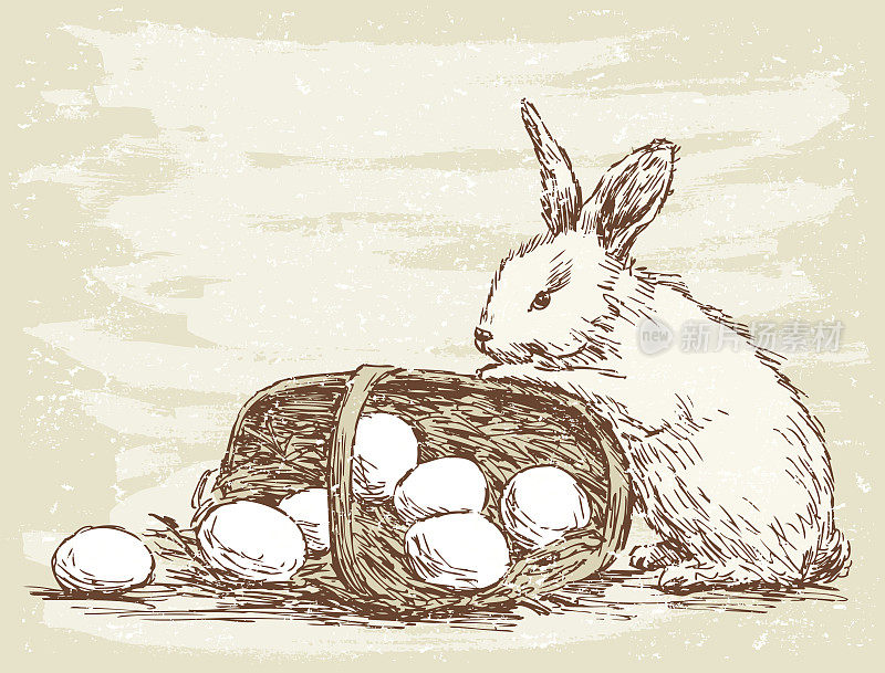 兔子用篮子