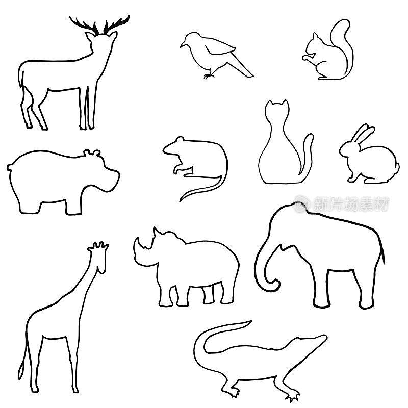 勾勒野生动物矢量插图。