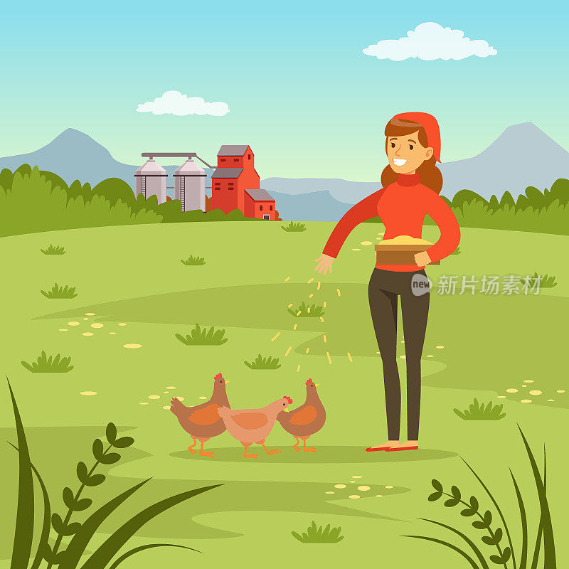 农妇用玉米喂鸡，农业与农作，乡村景观矢量插画