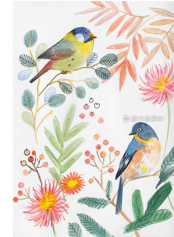 水彩画中，小鸟栖息在枝头的枝叶和花朵中