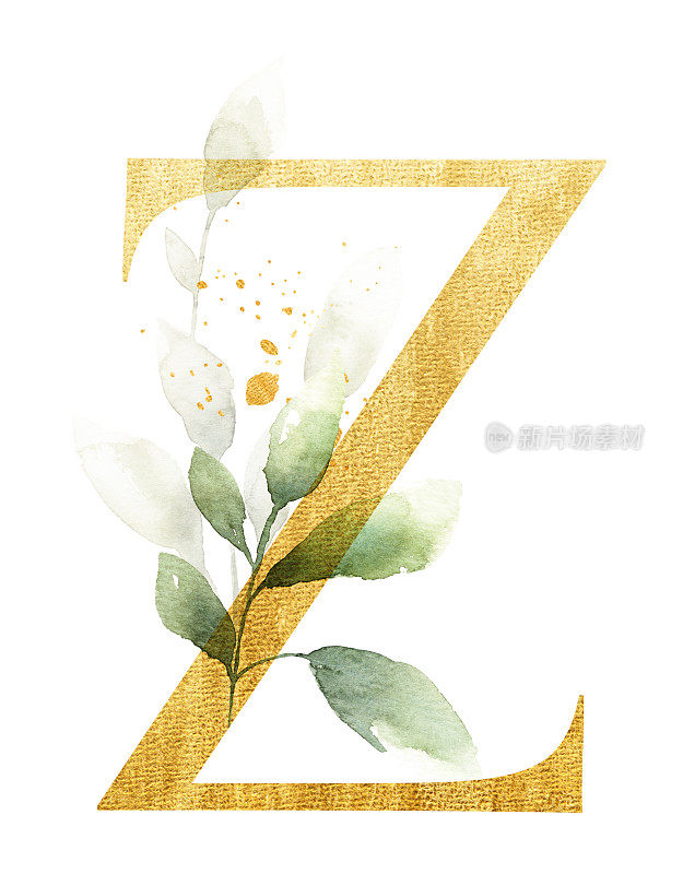金字Z装饰水彩树叶