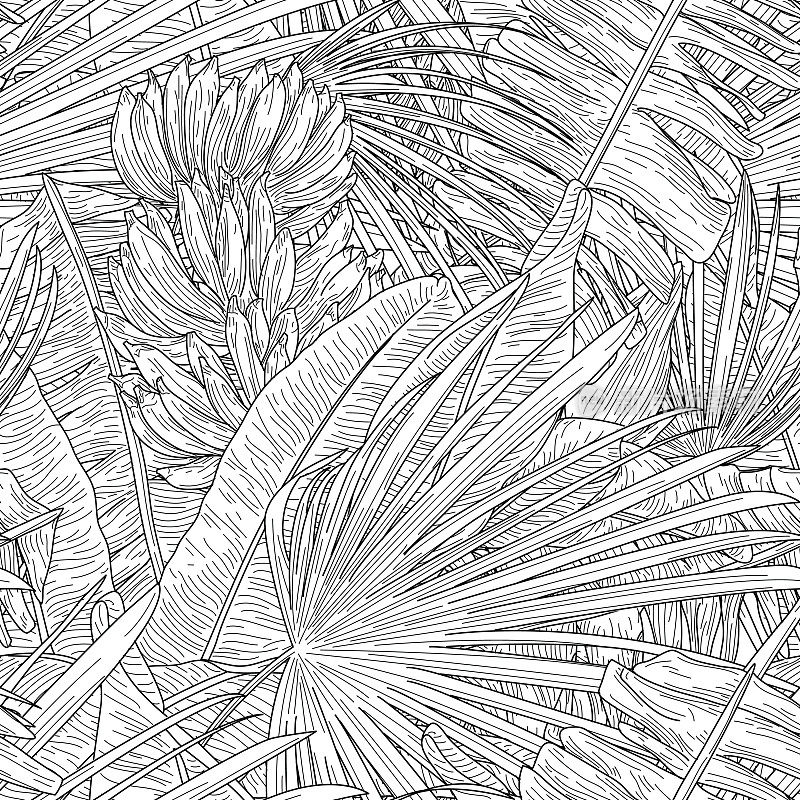 黑白热带香蕉叶无缝图案