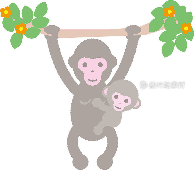 母子猴挂在树枝上