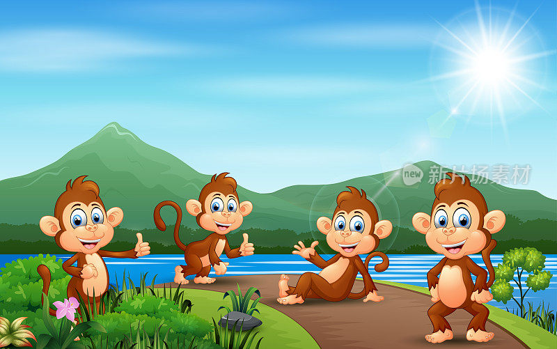 一群猴子在路上享受大自然