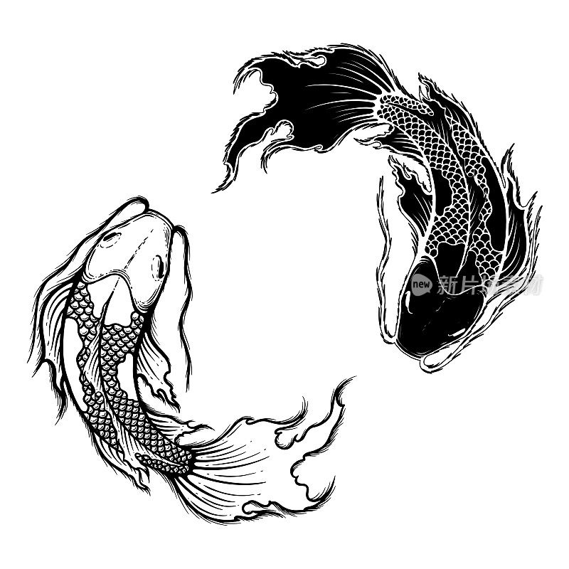 手绘轮廓锦鲤鱼矢量插图，纹身设计，日本风格，线条艺术水墨作品，动物野生动物。黑色和白色。