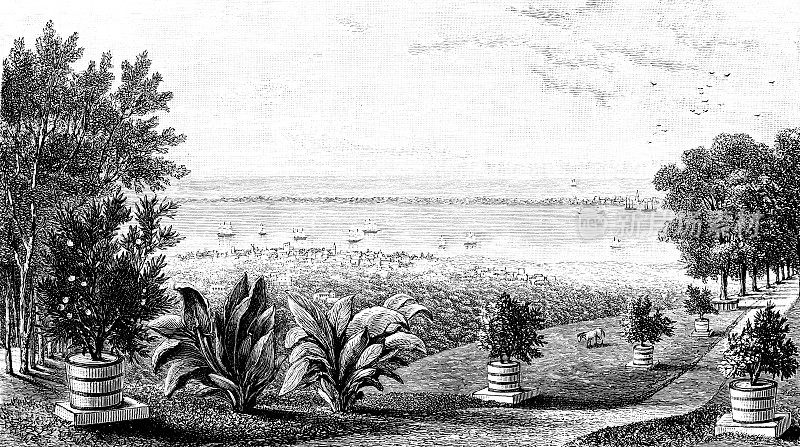 牙买加金斯敦，加勒比地区，19世纪