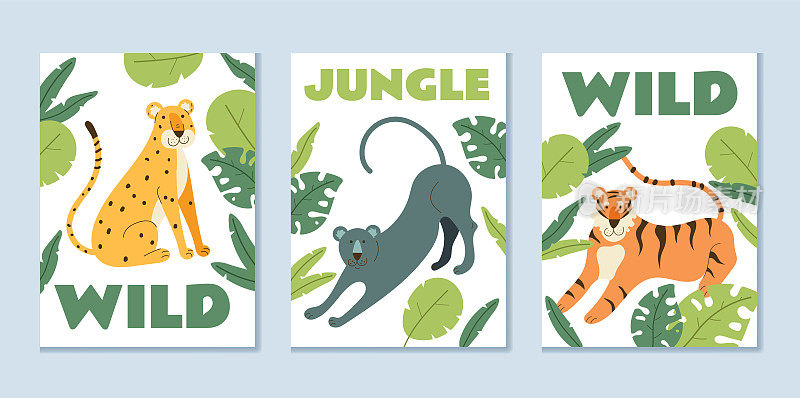 热带丛林森林动物豹传单海报横幅向量集