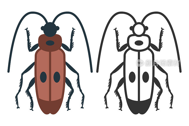 蟑螂甲虫矢量图标设置孤立的白色背景。