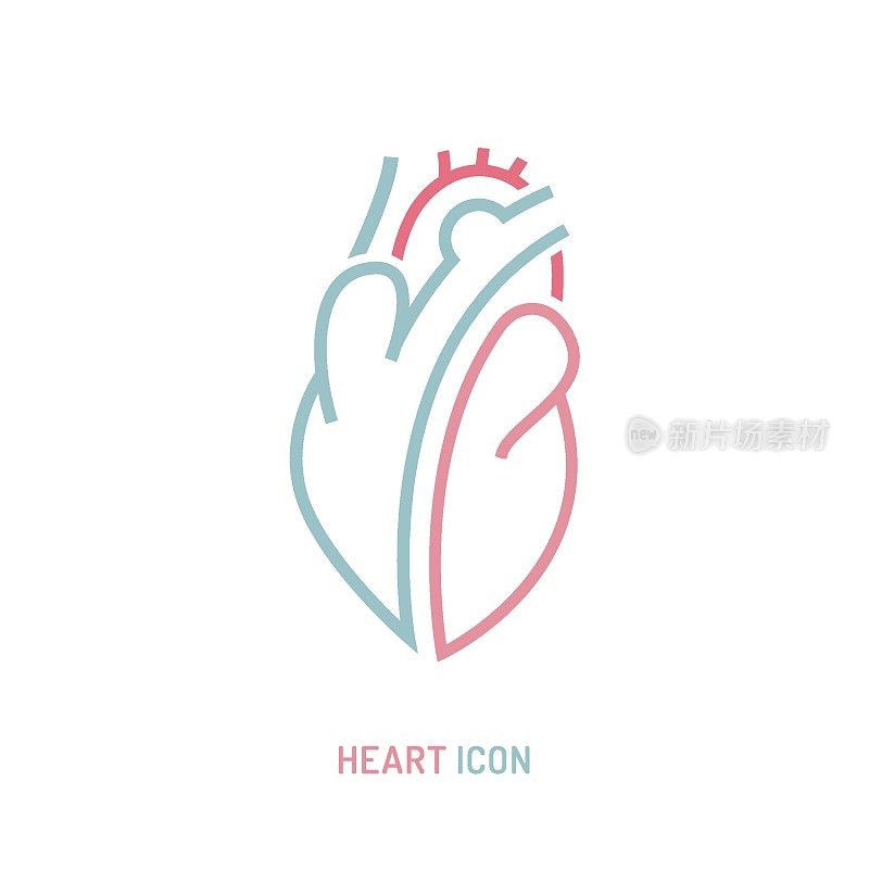 健康心脏的图标，心血管血液循环系统的人体内部器官。