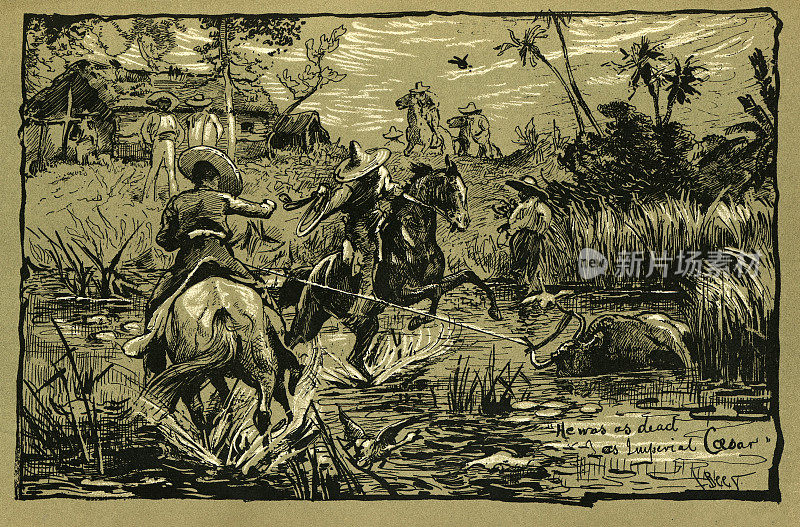 墨西哥牛仔从沼泽中拉出一头死牛，维多利亚时代，19世纪90年代，19世纪