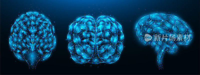 人类大脑的多边形矢量插图在深蓝色的背景。健康人脑不同角度低聚设计。神经系统医学标志，模板或背景。
