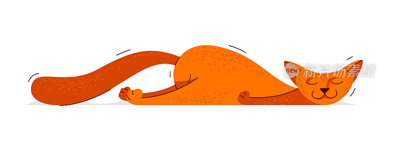 萌猫睡得很累矢量插画，家养宠物卡通。