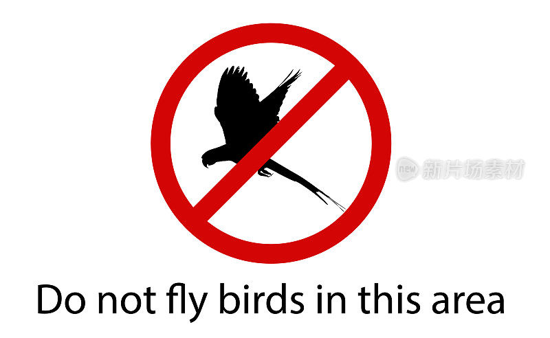 不要放飞鸟类
