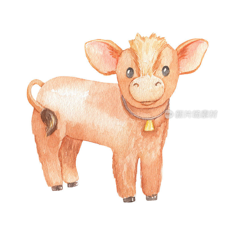 可爱的小牛孤立在白色。水彩卡通插画。小母牛
