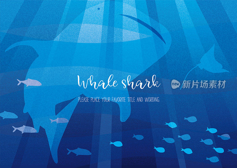 发光的蓝色大海和鲸鲨的剪影