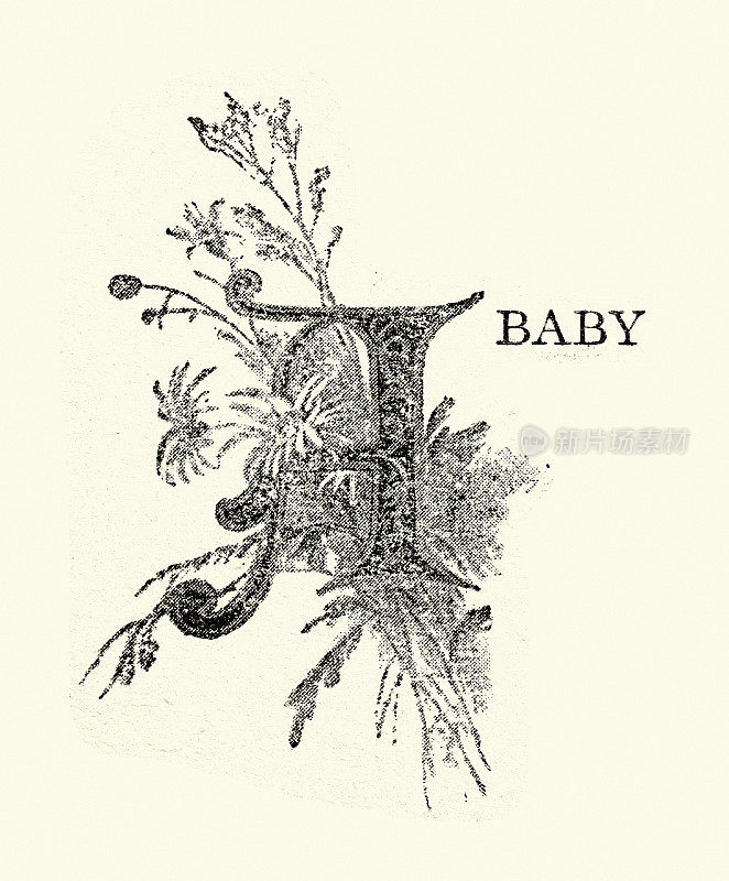 复古插图大写字母A，巴布，维多利亚时代，19世纪