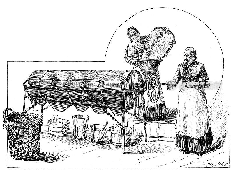 在不伦瑞克的罐头食品生产中，两名妇女正在使用豌豆分拣机