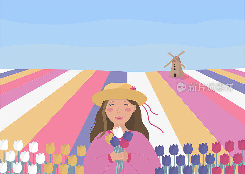 概念矢量插图与一个女人，荷兰郁金香田和一个磨坊。平的卡通风格。