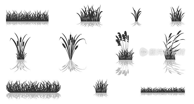 芦苇映照出沼泽草地的剪影。一套矢量插图的沼泽植被的黑色阴影。