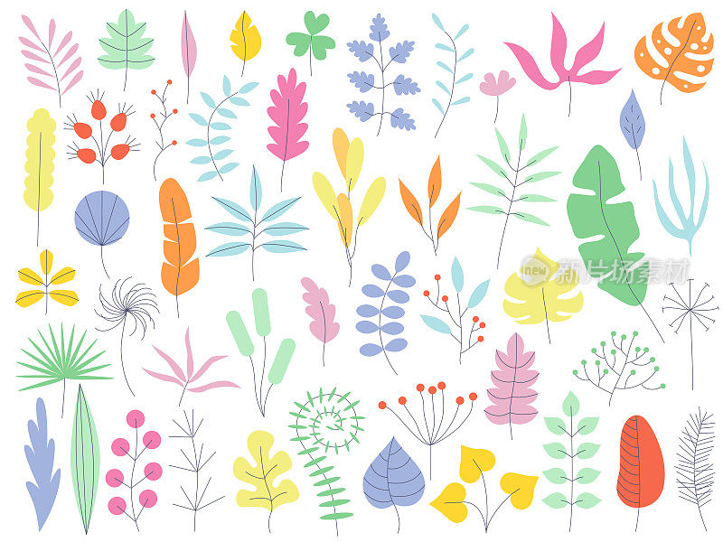 手绘植物，有机形状，植物。矢量集合的最小潮流抽象手绘图形设计孤立的元素。有机自然形状，树叶。现代艺术收藏