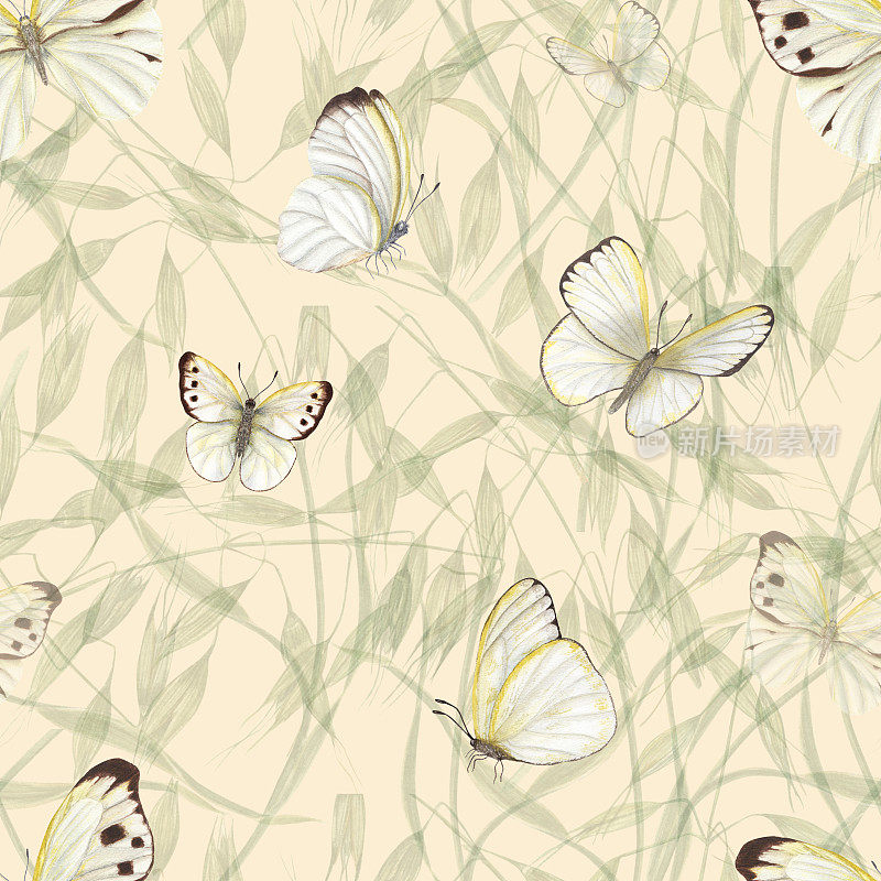 水彩无缝模式飞行的白色蝴蝶孤立的背景上的野生燕麦。贺卡设计，邀请模板，印刷品，壁纸，织物，纺织品，包装。