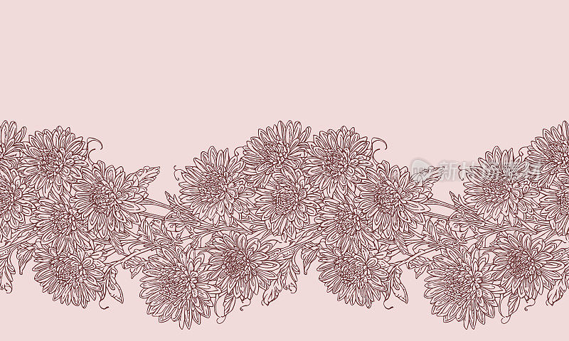 菊花在石榴石和朦胧玫瑰色无缝边界，华丽，手绘水平图案