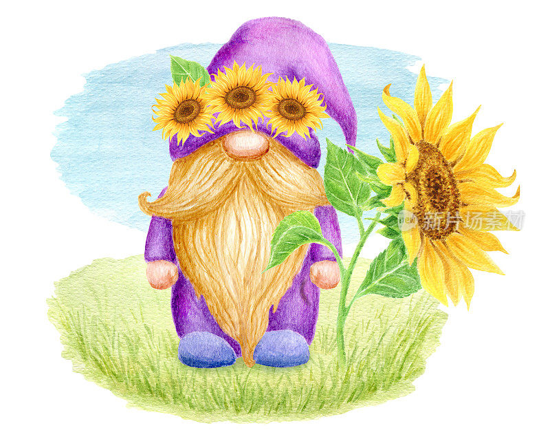 侏儒与向日葵在绿色草坪上孤立在白色背景。节日贺卡设计。水彩绘画。