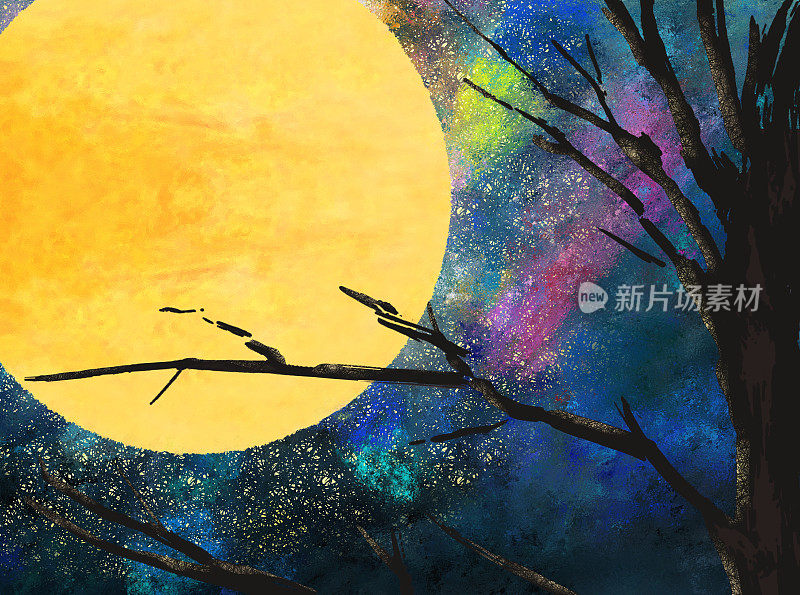 一个明亮的月亮盘在夜间森林的框架插图