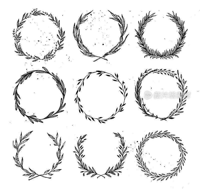 手绘矢量插图-月桂和花环。设计元素