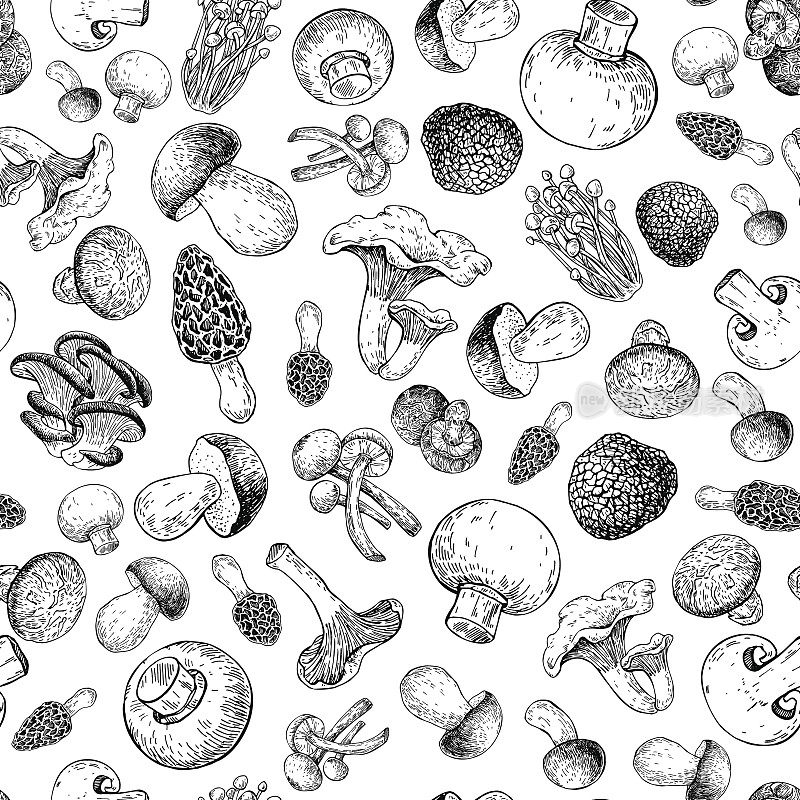 蘑菇手工绘制矢量seamlees模式。孤立素描食物绘画背景。