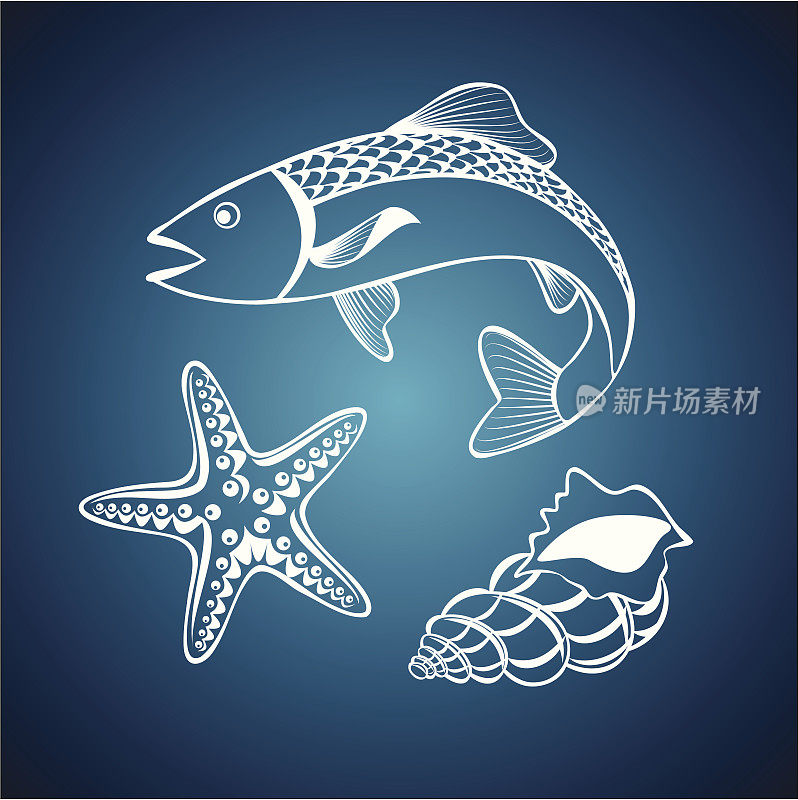 海洋生物