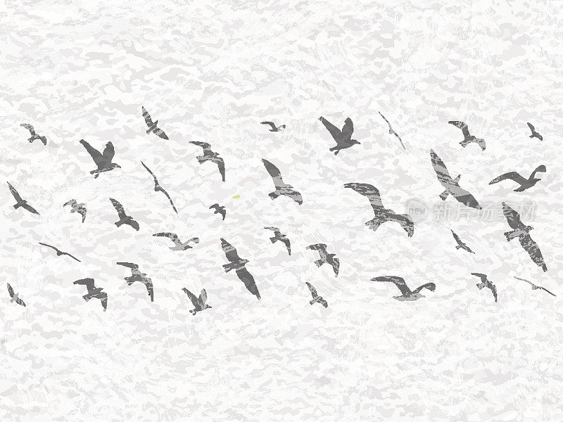 飞翔的鸟儿在白色垃圾摇滚背景上的剪影。矢量图